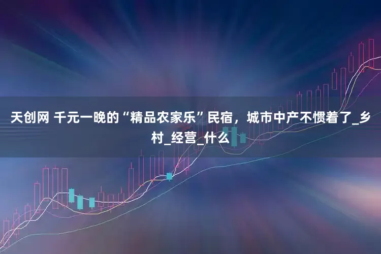 天创网 千元一晚的“精品农家乐”民宿，城市中产不惯着了_乡村_经营_什么