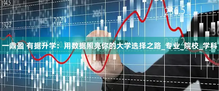 一鼎盈 有据升学：用数据照亮你的大学选择之路_专业_院校_学科