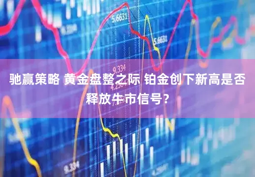 驰赢策略 黄金盘整之际 铂金创下新高是否释放牛市信号？