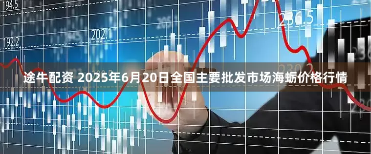 途牛配资 2025年6月20日全国主要批发市场海蛎价格行情