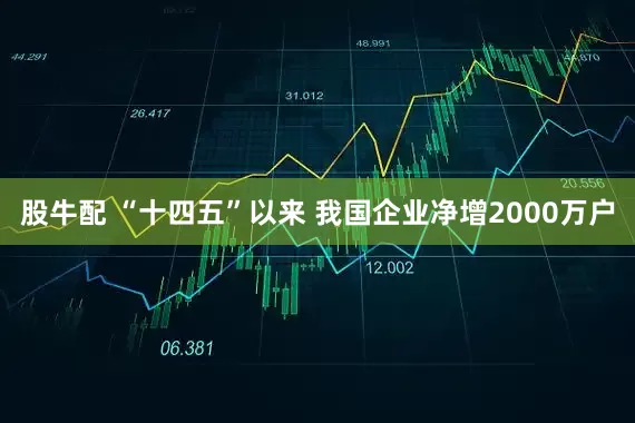 股牛配 “十四五”以来 我国企业净增2000万户