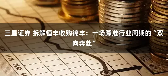 三星证券 拆解恒丰收购锦丰：一场踩准行业周期的“双向奔赴”