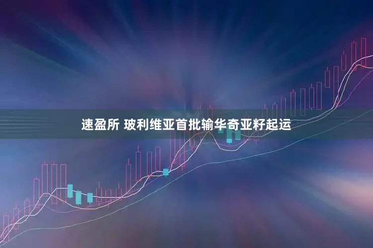 速盈所 玻利维亚首批输华奇亚籽起运