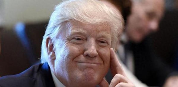 凯丰资本 中企对荷兰提出要求：想恢复出口需改正错误做法