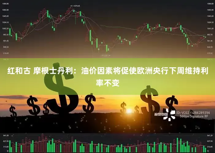 红和古 摩根士丹利：油价因素将促使欧洲央行下周维持利率不变